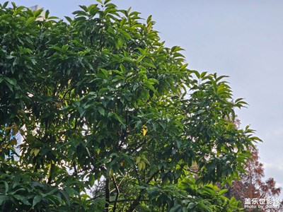 【悠闲时光】+看风景