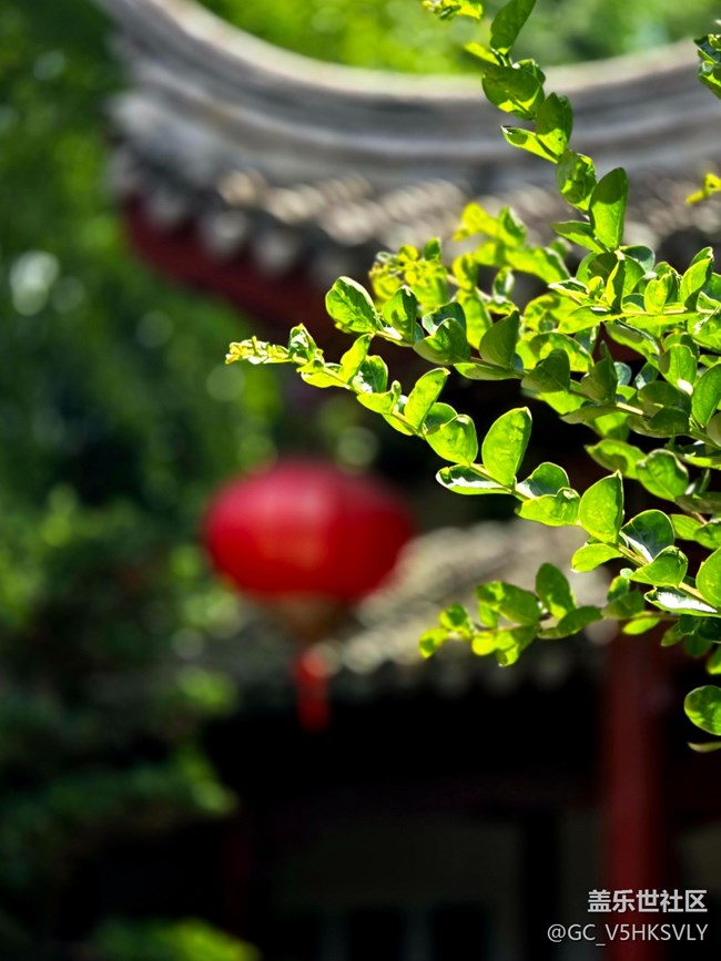 【南翔檀园线下摄影活动】+江南