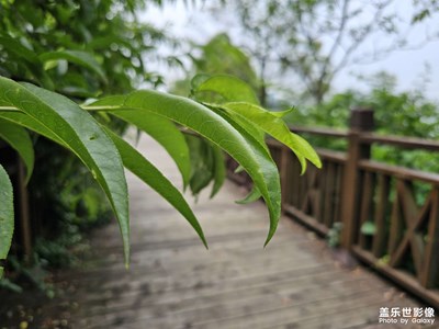 随手一拍