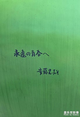 嘉源海美术馆--安藤忠雄的建筑美学