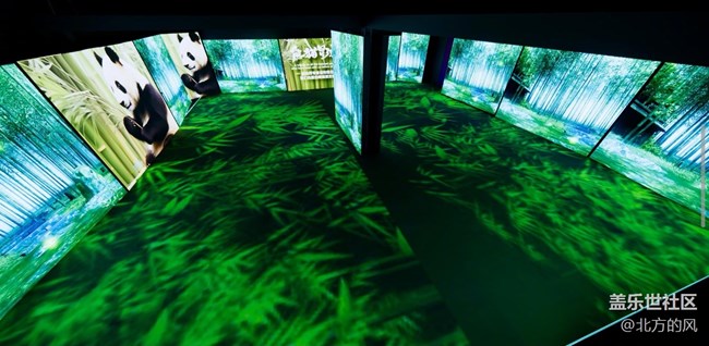 【熊猫星球光影展】+带着三星手机来参观