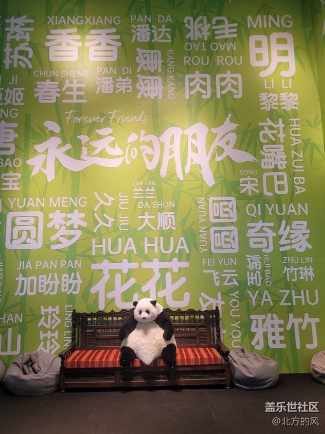 【熊猫星球光影展】+带着三星手机来参观