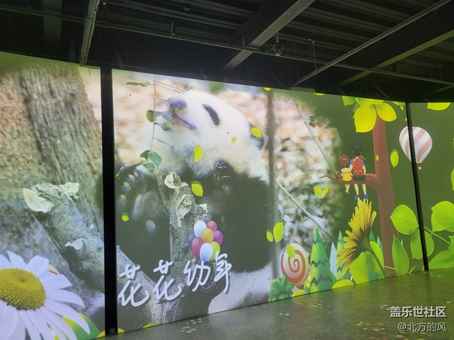 【熊猫星球光影展】+带着三星手机来参观