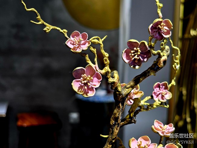 【M50创意园线下摄影活动】+静物