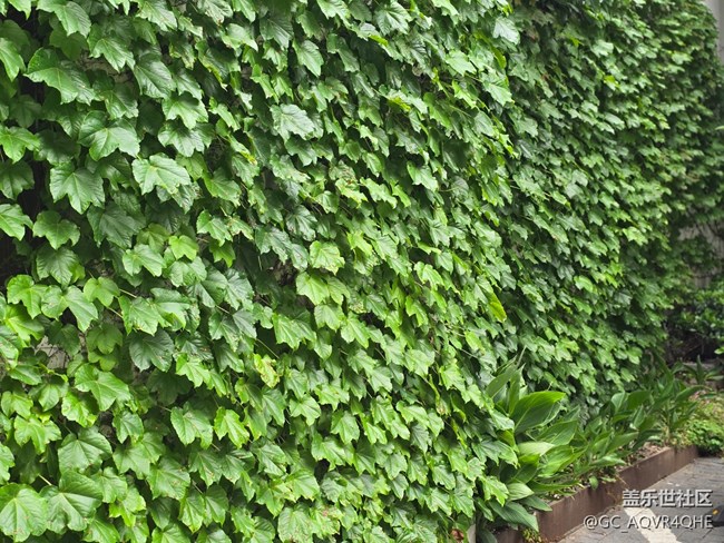 #五月的休闲时光——citywalk