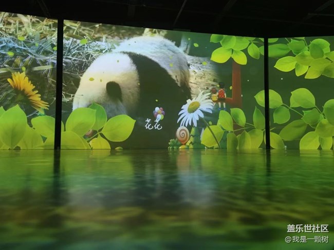 【熊猫星球光影展】+用三星手机找寻我最爱的Panda