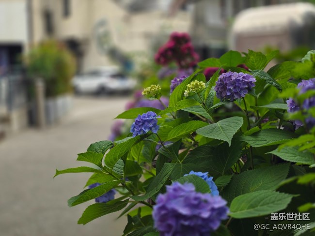 #五月的休闲时光——citywalk