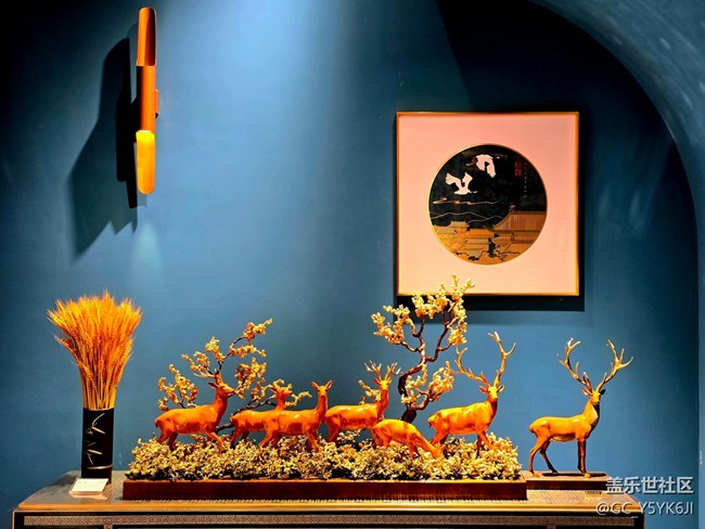 【M50创意园线下摄影活动】+静物