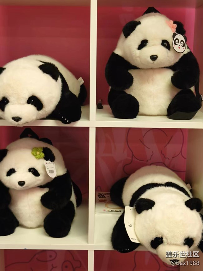 【熊猫星球光影展】+三星带您看大熊猫