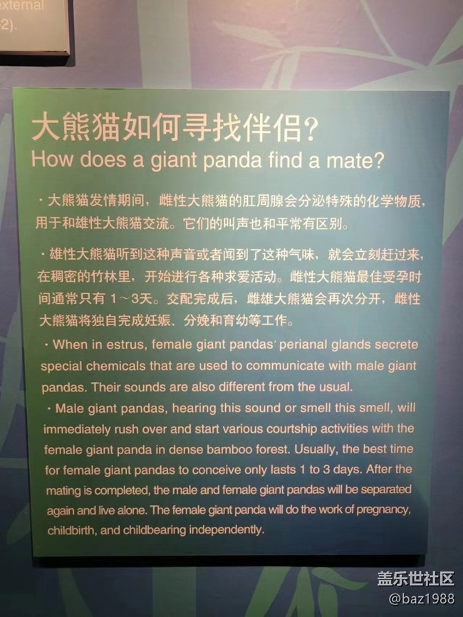 【熊猫星球光影展】+三星带您看大熊猫