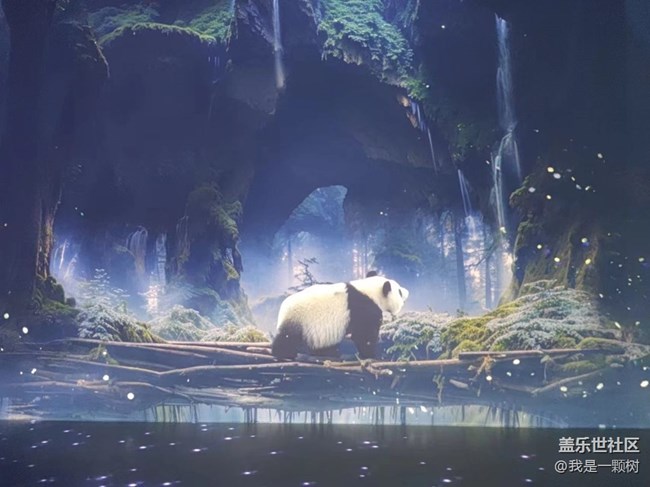 【熊猫星球光影展】+用三星手机找寻我最爱的Panda