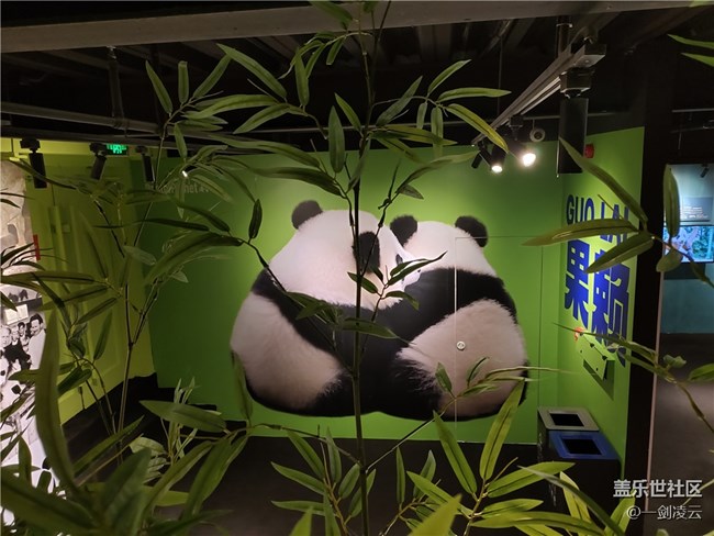 Galaxy24强大的暗光拍摄——记熊猫星球之旅