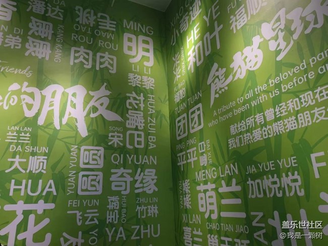 【熊猫星球光影展】+用三星手机找寻我最爱的Panda