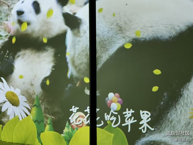 【捕捉初夏之美】熊猫花花的快乐童年