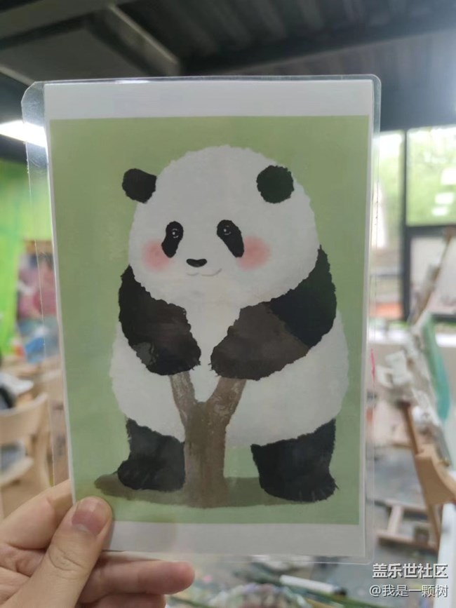 【熊猫星球光影展】+用三星手机找寻我最爱的Panda
