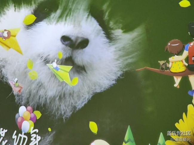 【捕捉初夏之美】熊猫花花的快乐童年