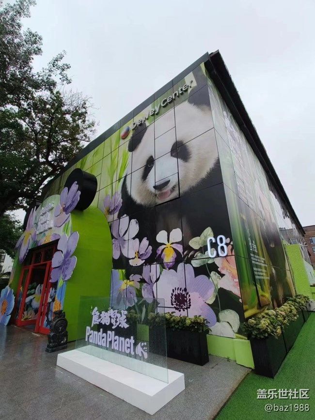 【熊猫星球光影展】+三星带您看大熊猫