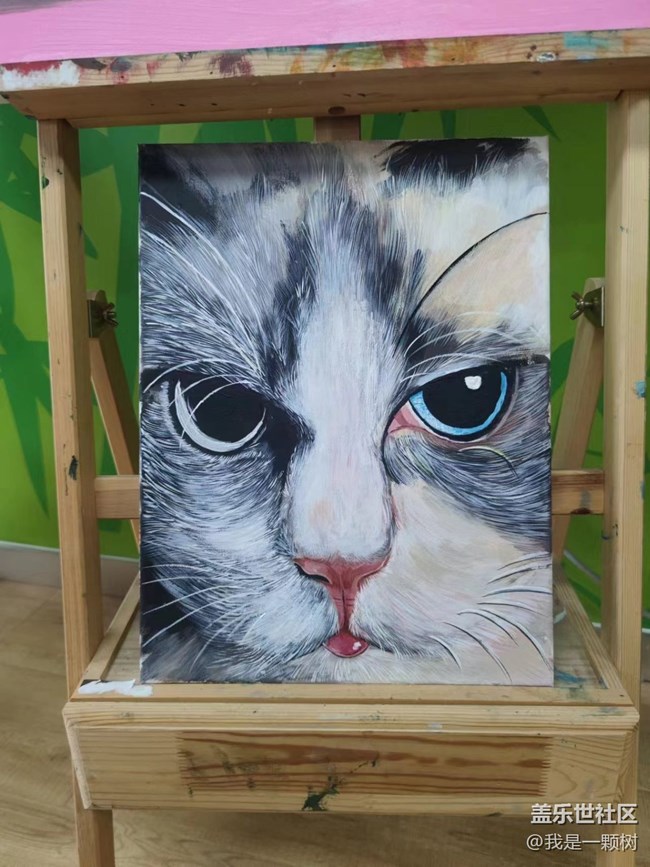 【熊猫星球光影展】+用三星手机找寻我最爱的Panda