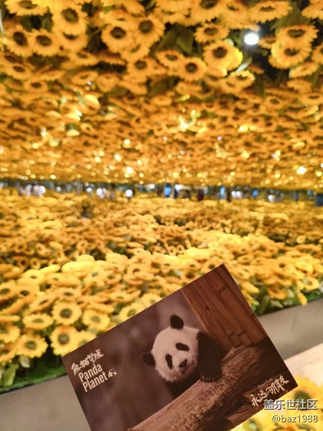 【熊猫星球光影展】+三星带您看大熊猫