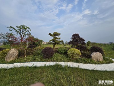 夏日黄昏