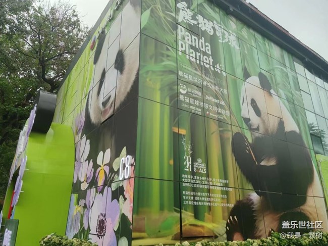 【熊猫星球光影展】+用三星手机找寻我最爱的Panda