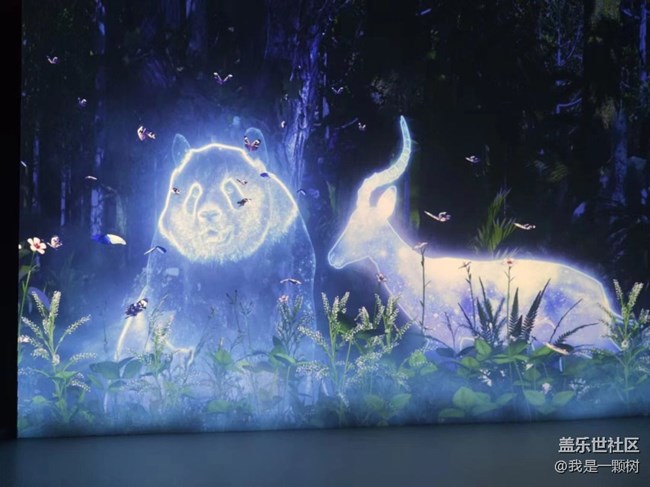 【熊猫星球光影展】+用三星手机找寻我最爱的Panda