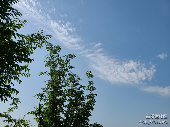 【初夏的颜色】多彩初夏
