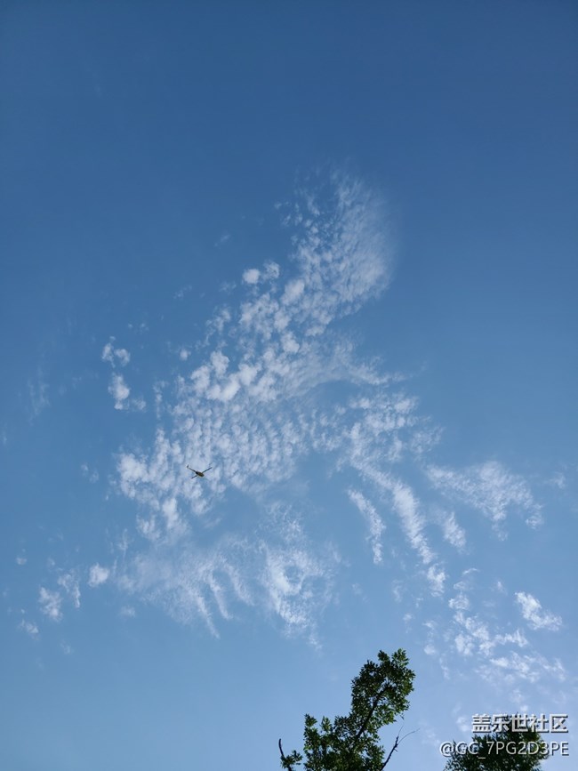 【初夏的颜色】多彩初夏