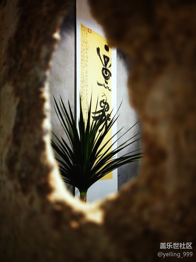 上海星部落5月25日M50创意园线下摄影活动回顾帖