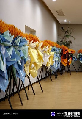 三星原相机与谷歌相机对比