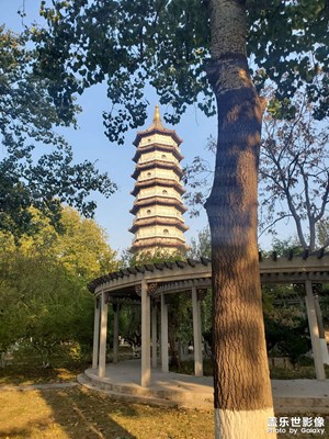 时间紧张，为了星钻