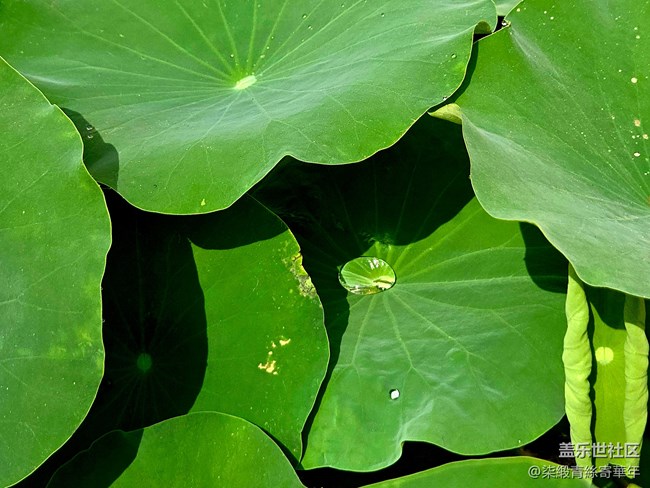 【开奖】郑州星部落六月线上摄影活动 【开奖】郑州星部落六月线上摄影活动