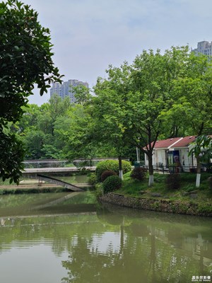 【寻光猎影】光影之间