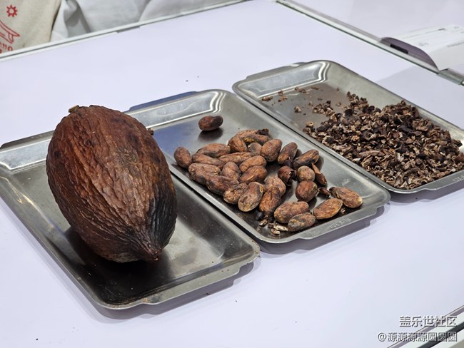 【三星手机与咖啡之旅】武汉星部落线下回顾贴