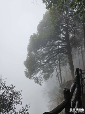【寻光猎影】+登山行