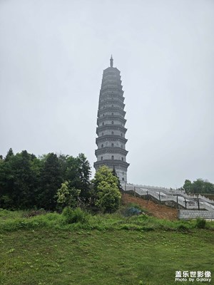 随手拍