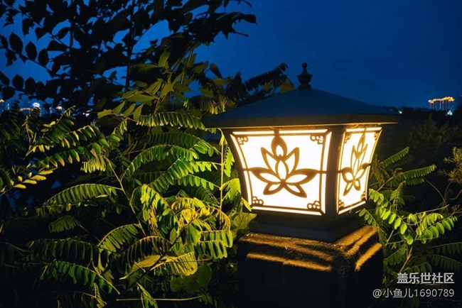 【色彩与光影的邂逅】夜色宁静