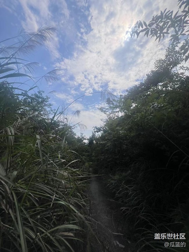 【绿意涌动的初夏】杨梅采摘