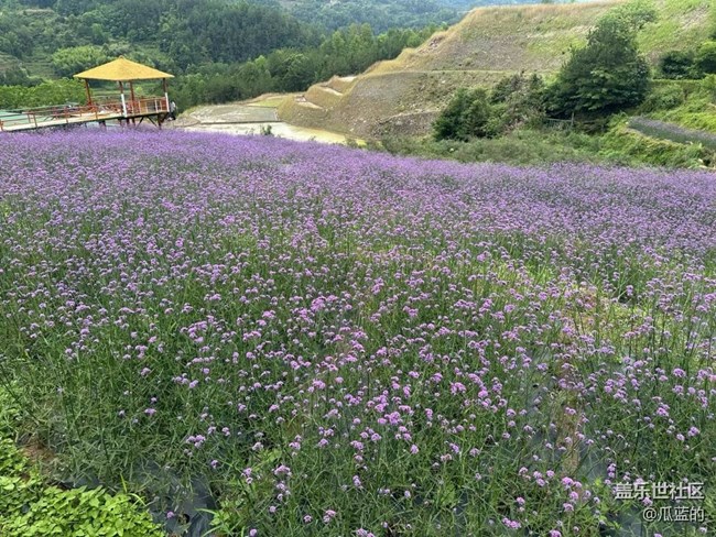 【多姿多彩的生活】山顶美景