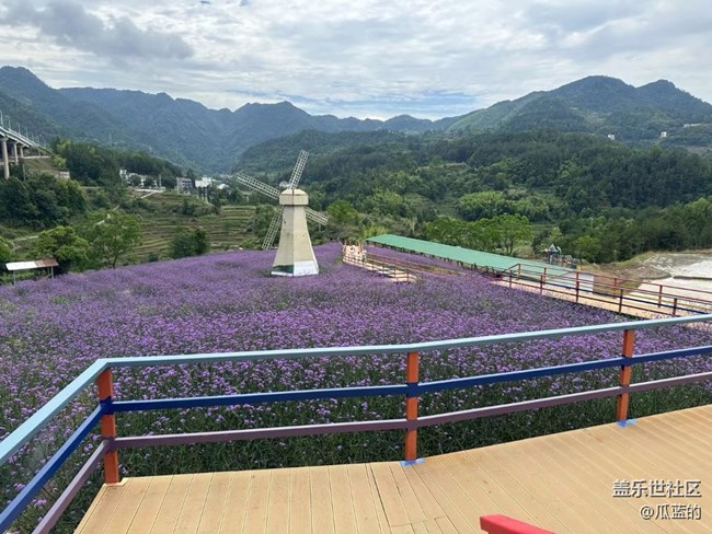 【多姿多彩的生活】山顶美景