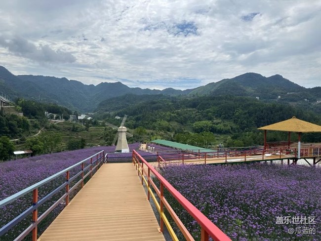 【多姿多彩的生活】山顶美景