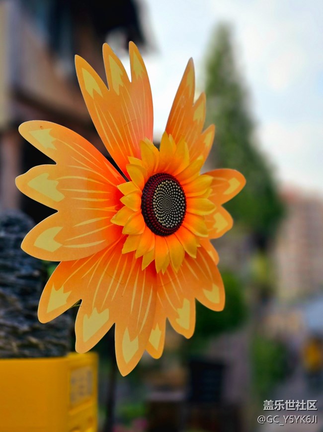 【闵行文化公园citywalk摄影活动】+艺术