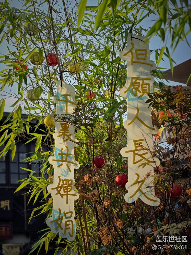 【闵行文化公园citywalk摄影活动】+艺术