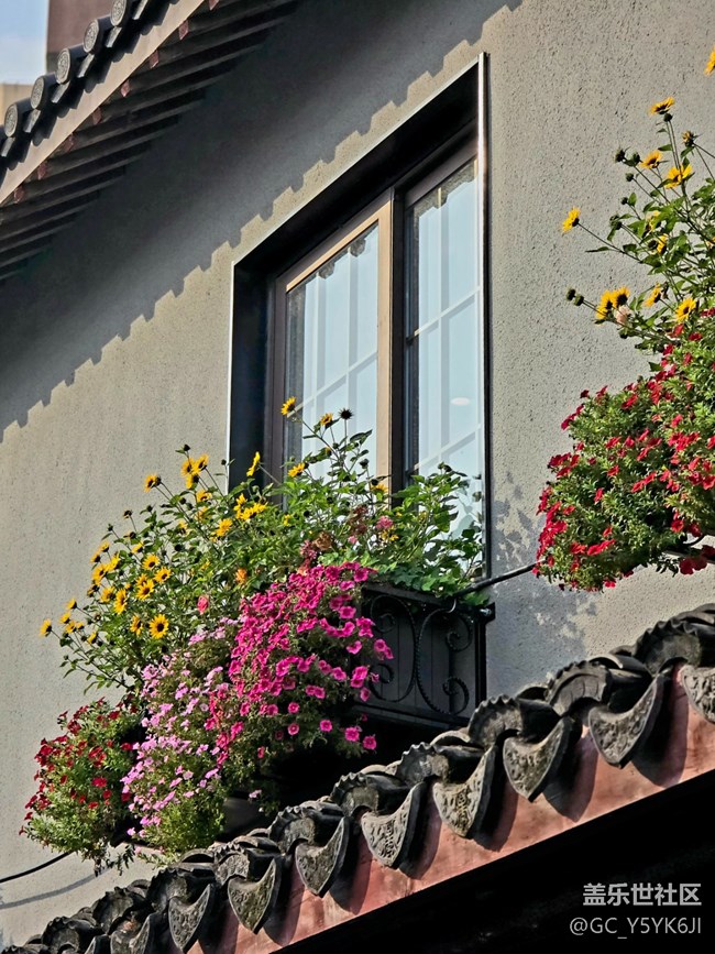 【闵行文化公园citywalk摄影活动】+艺术