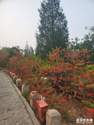 之前拍的照片