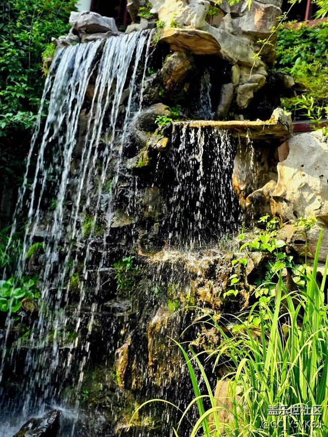 #今夏，当下——七宝老街