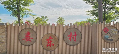 娄东村花海