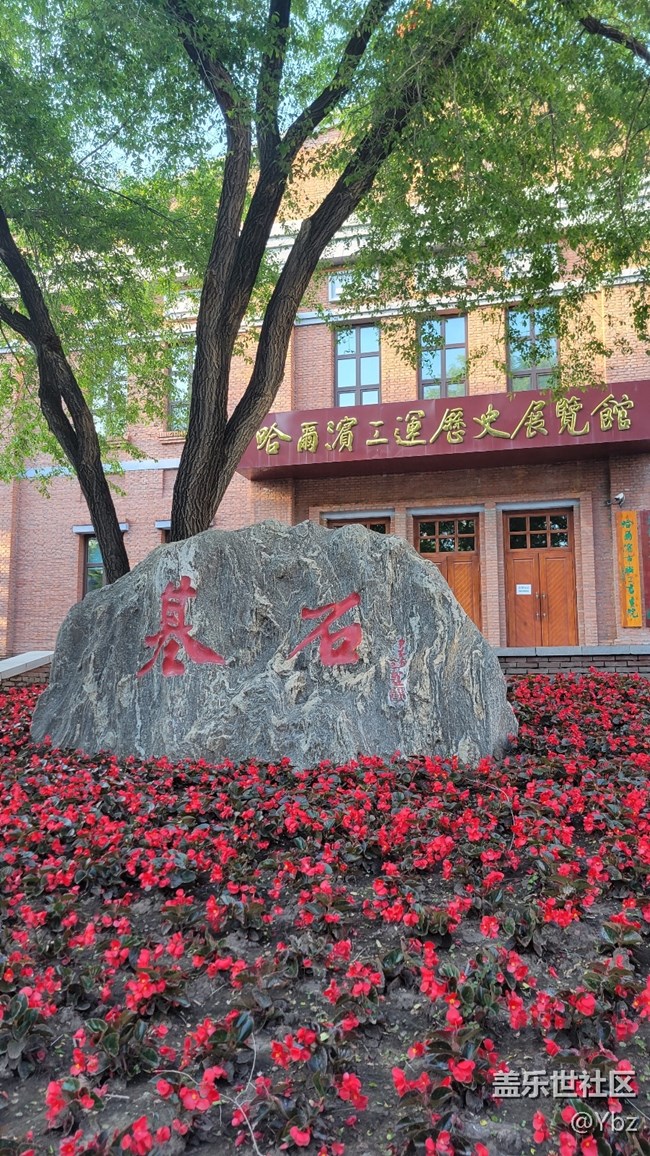美丽的劳动公园之旅，共享美艳与大自然的视觉盛宴。