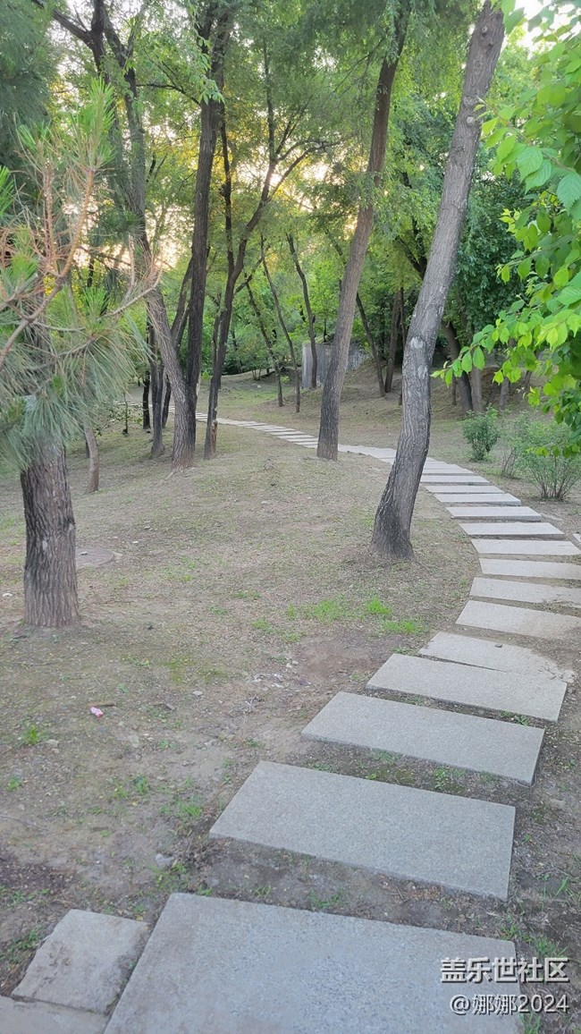相聚哈尔滨市香坊区劳动公园，风好，景美，人更靓！