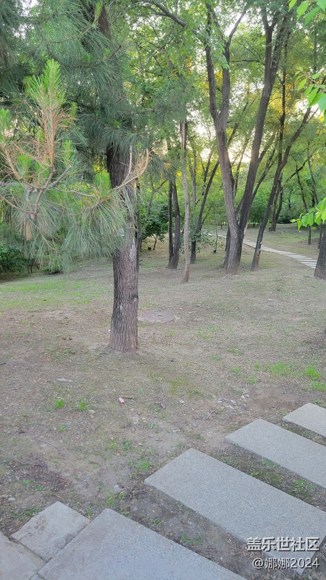 相聚哈尔滨市香坊区劳动公园，风好，景美，人更靓！